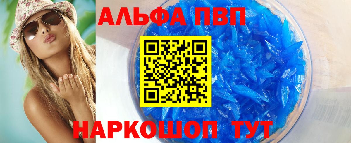 Альфа ПВП СК Новодвинск