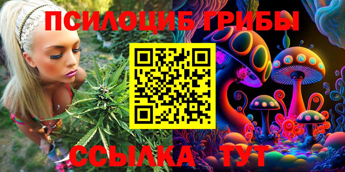 Галлюциногенные грибы Magic Shrooms  Вход с VPN  Галлюциногенные грибы мухоморы  Новодвинск 